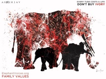 Elephant Voices Ad 2